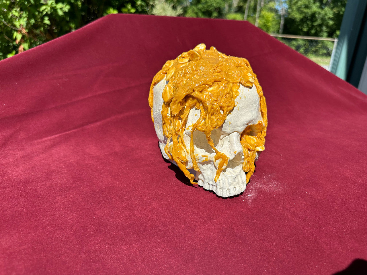 8 ounce Perma-Pulp